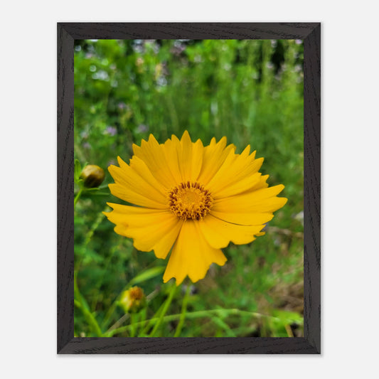 5cea2b80-42a5-492f-94c3-29fc2bcf64c7