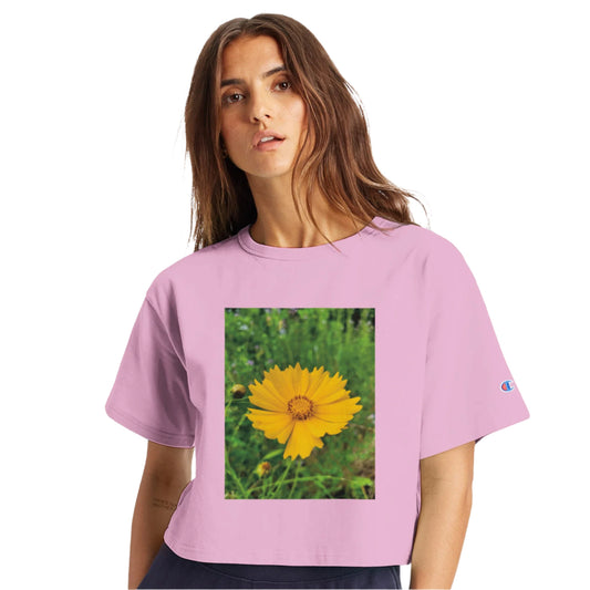 83a28975-601e-4f9d-a8db-f192a6ff2e1e