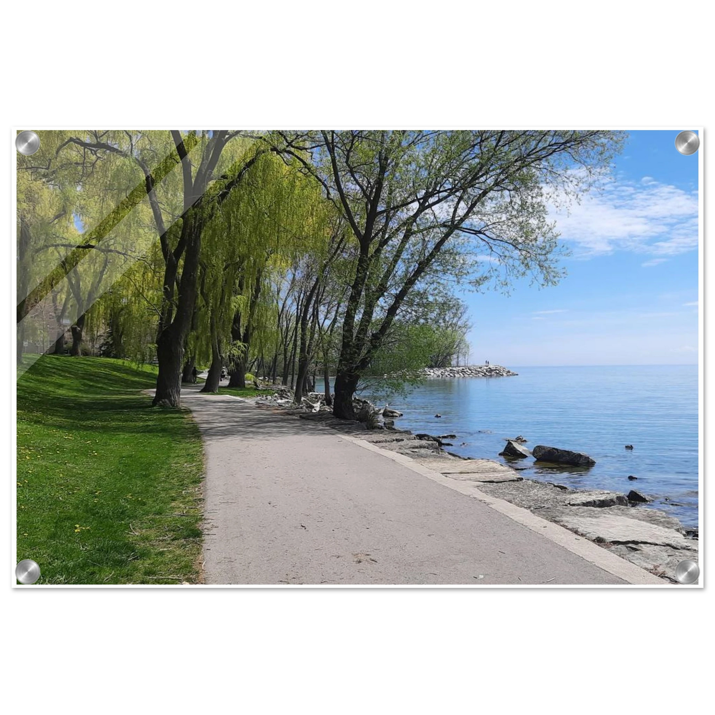 e4539c98-7f72-4d34-bafb-6dd4409aa95e